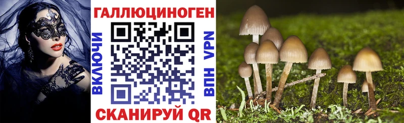Псилоцибиновые грибы MAGIC MUSHROOMS  цена наркотик  shop Telegram  Выкса  МЕГА зеркало 
